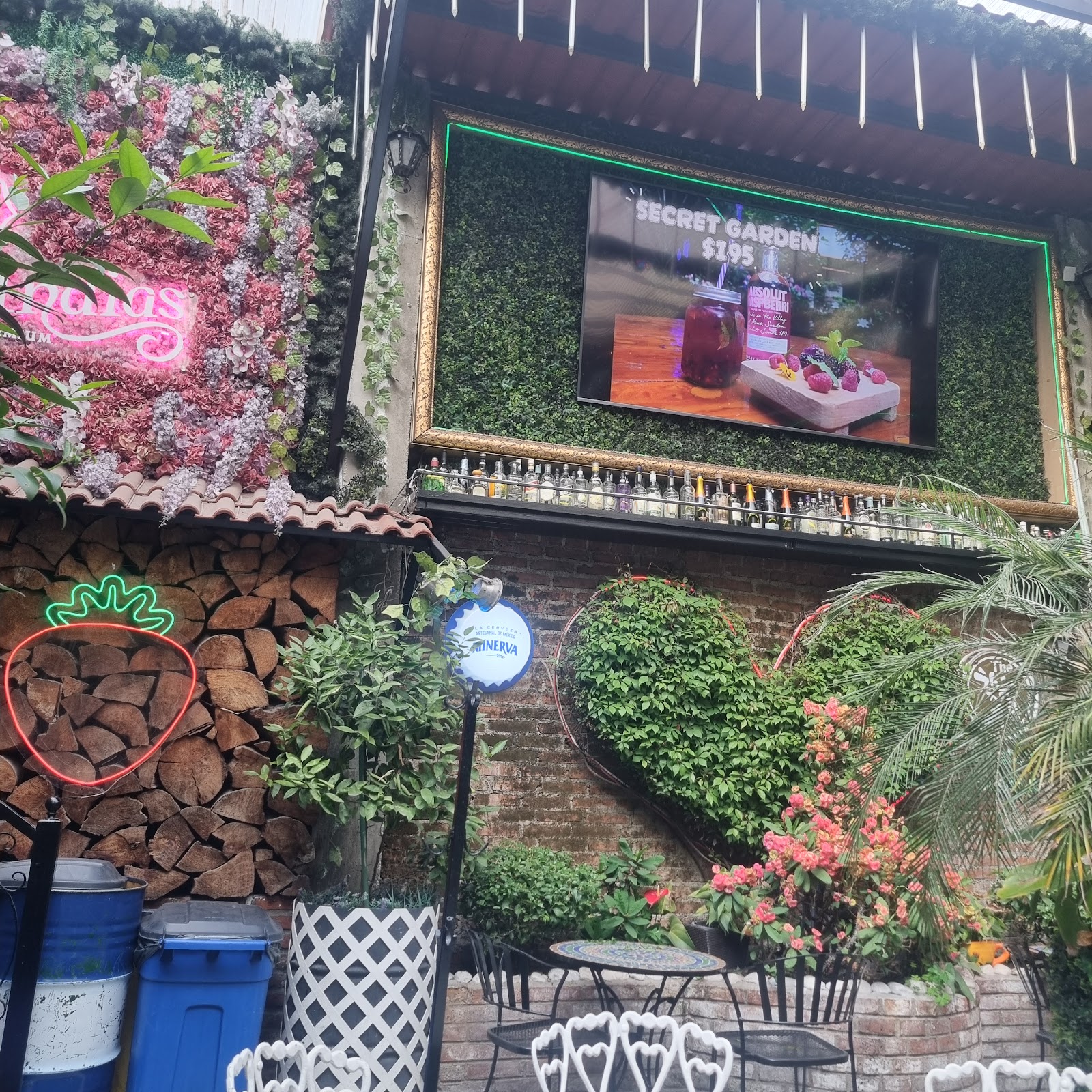 BeerGarden Roma, Mexico City