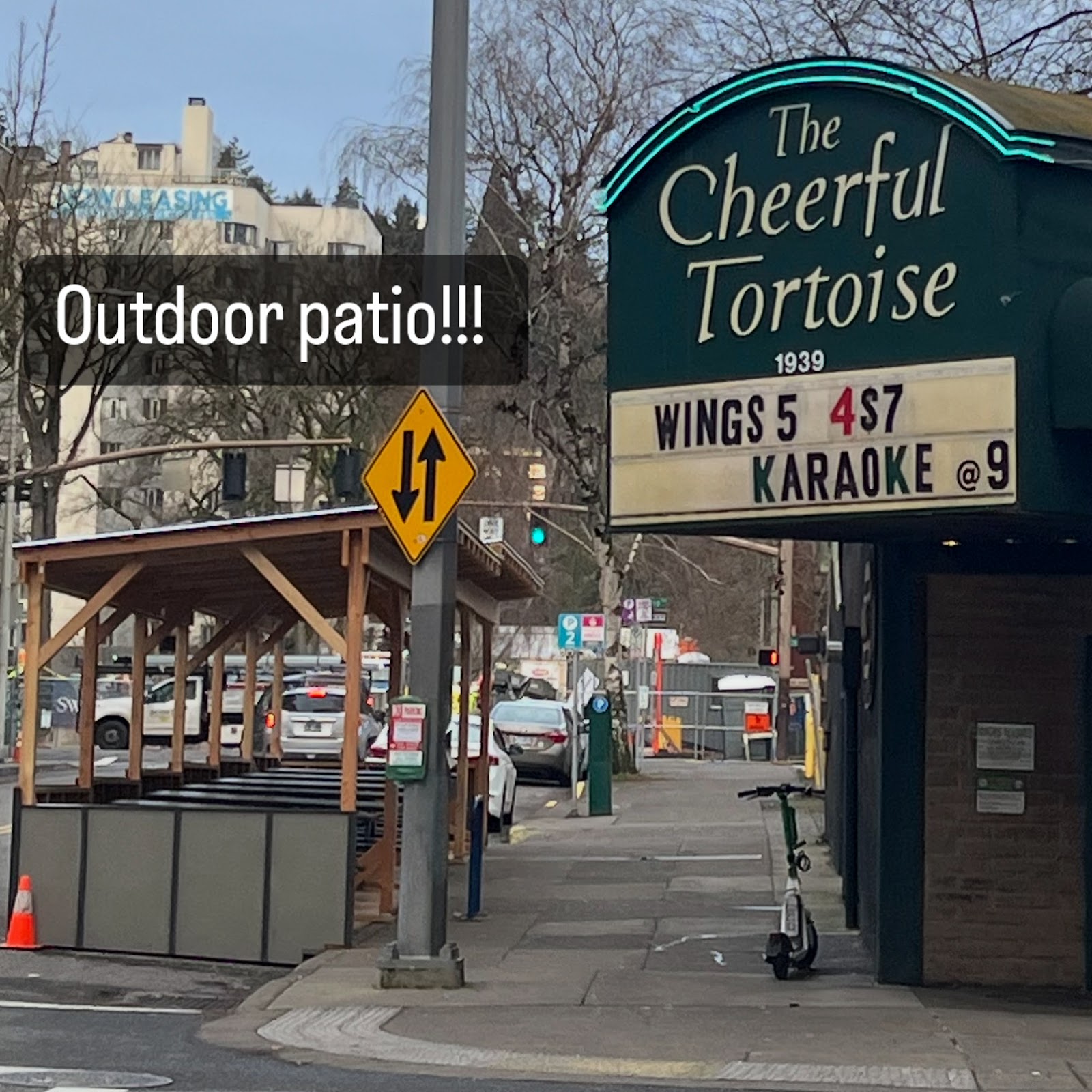 Cheerful Tortoise, Portland