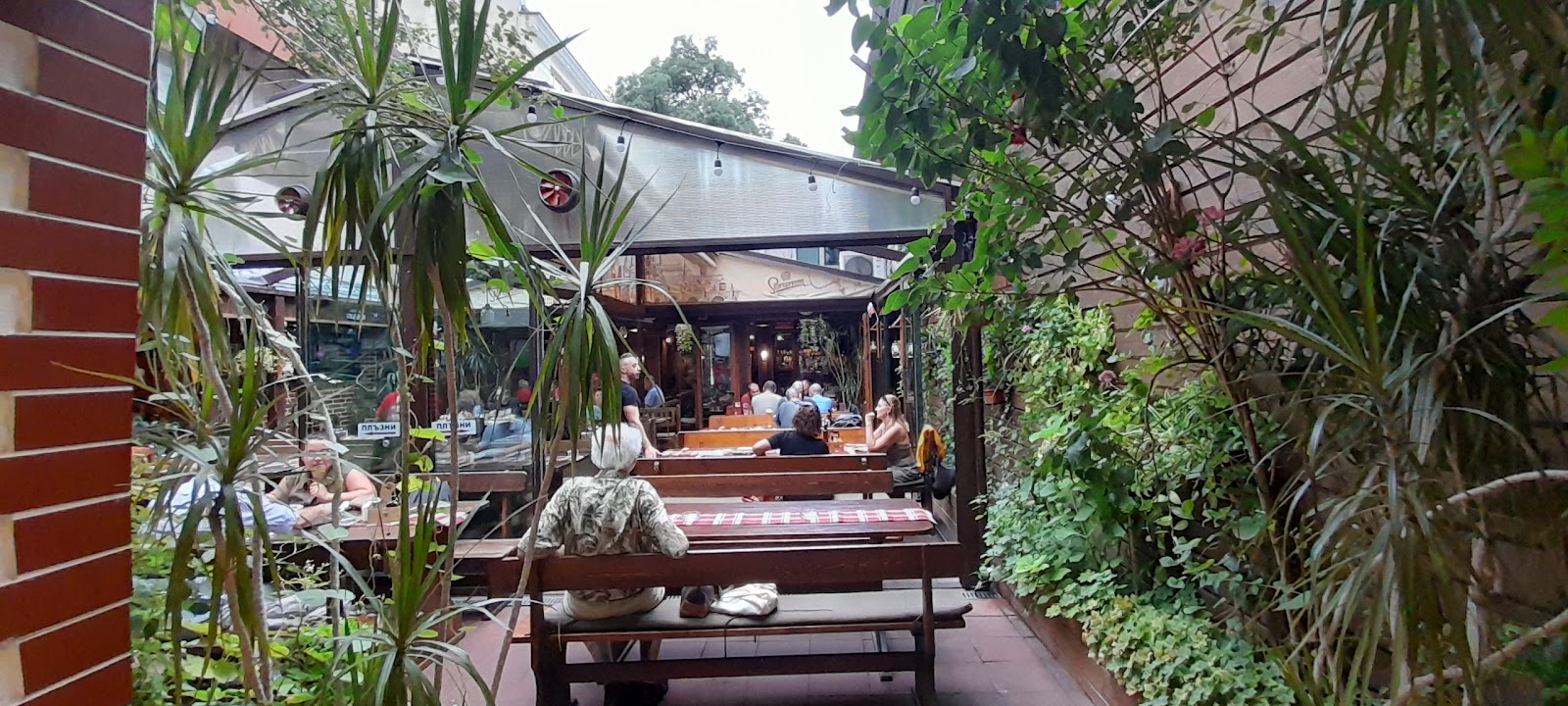 Бирария Дондуковъ / Dondukov Pub, Sofia
