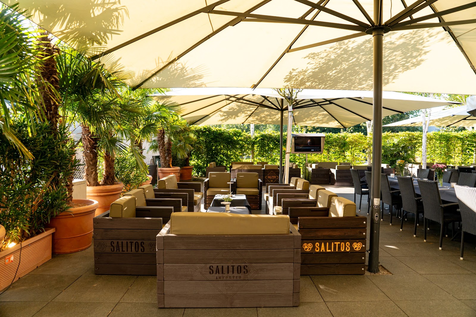 Palm Beach Stuttgart, Stuttgart
