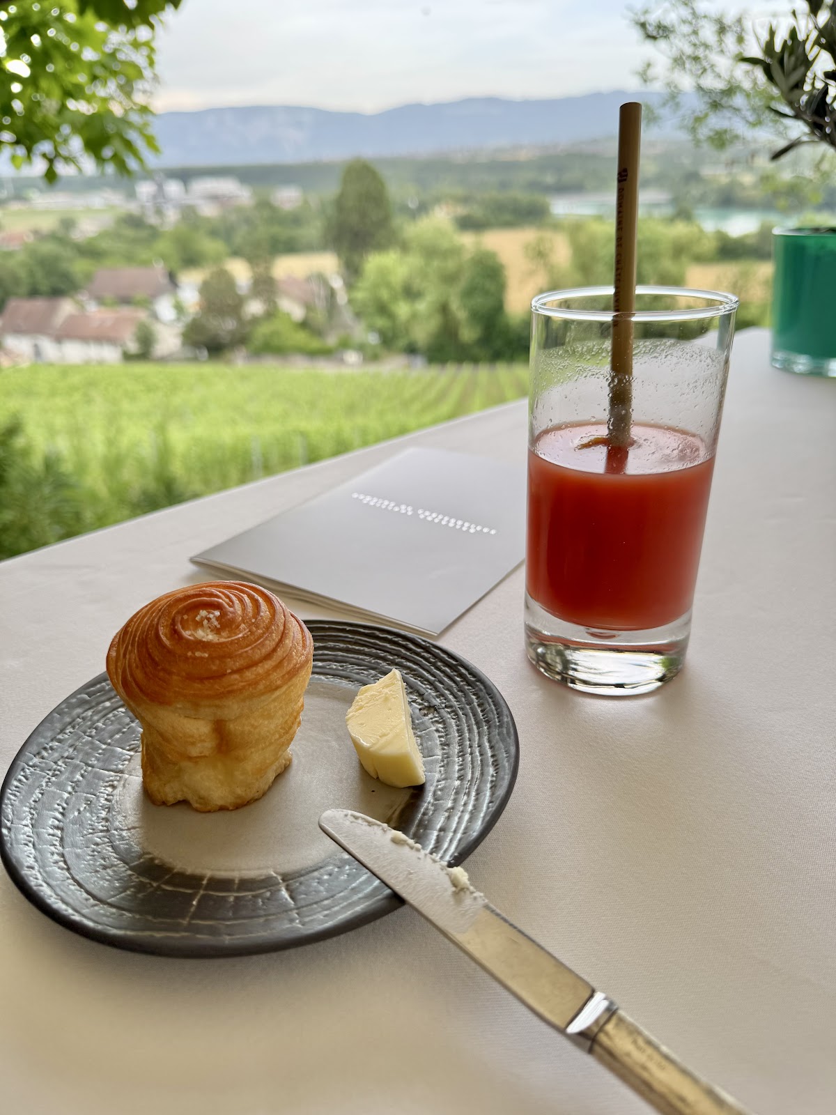 Domaine de Châteauvieux — photo 3