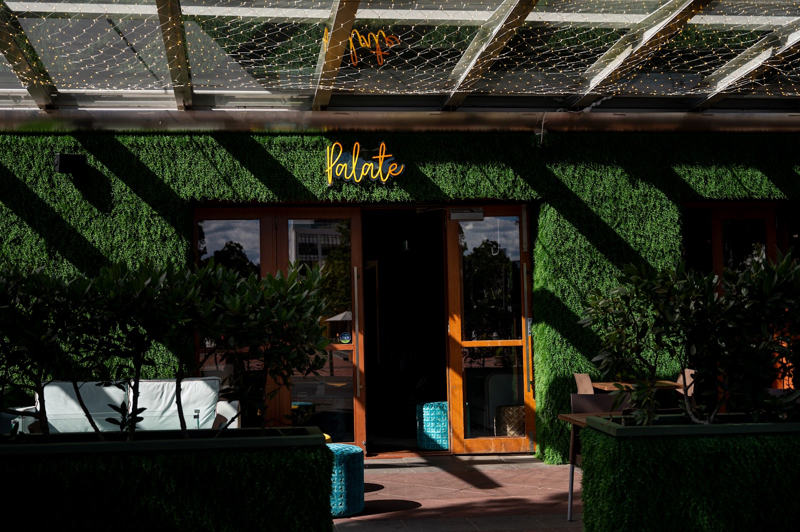 Palate — photo 3