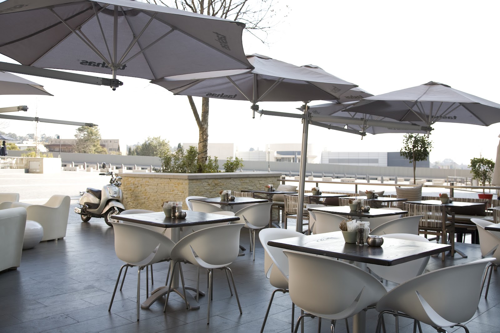 Tashas — photo 1