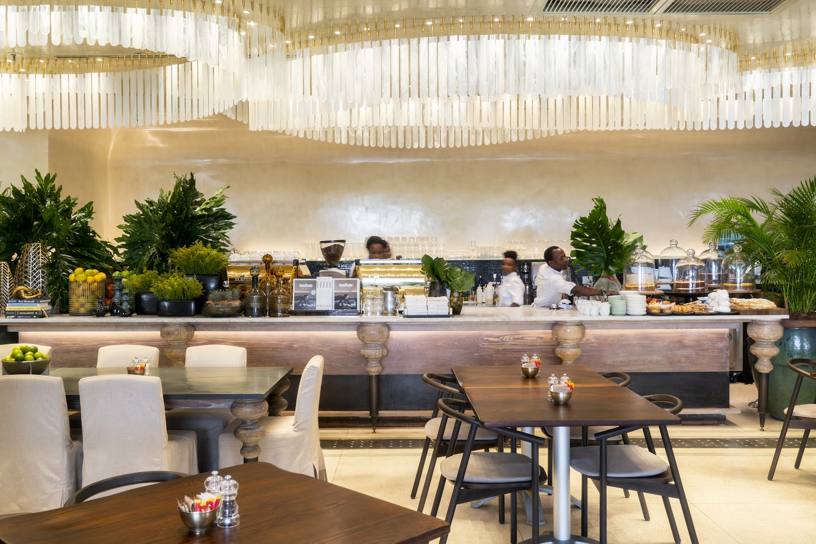 Tashas — photo 3
