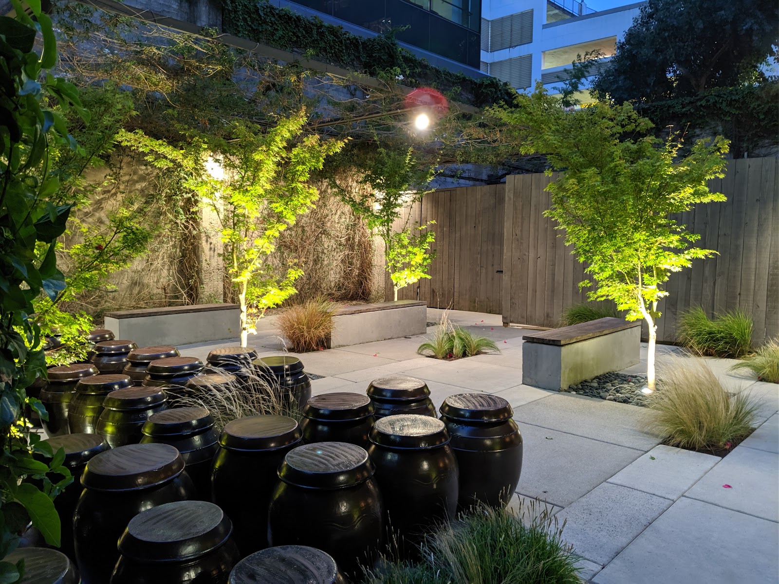 Benu — photo 1