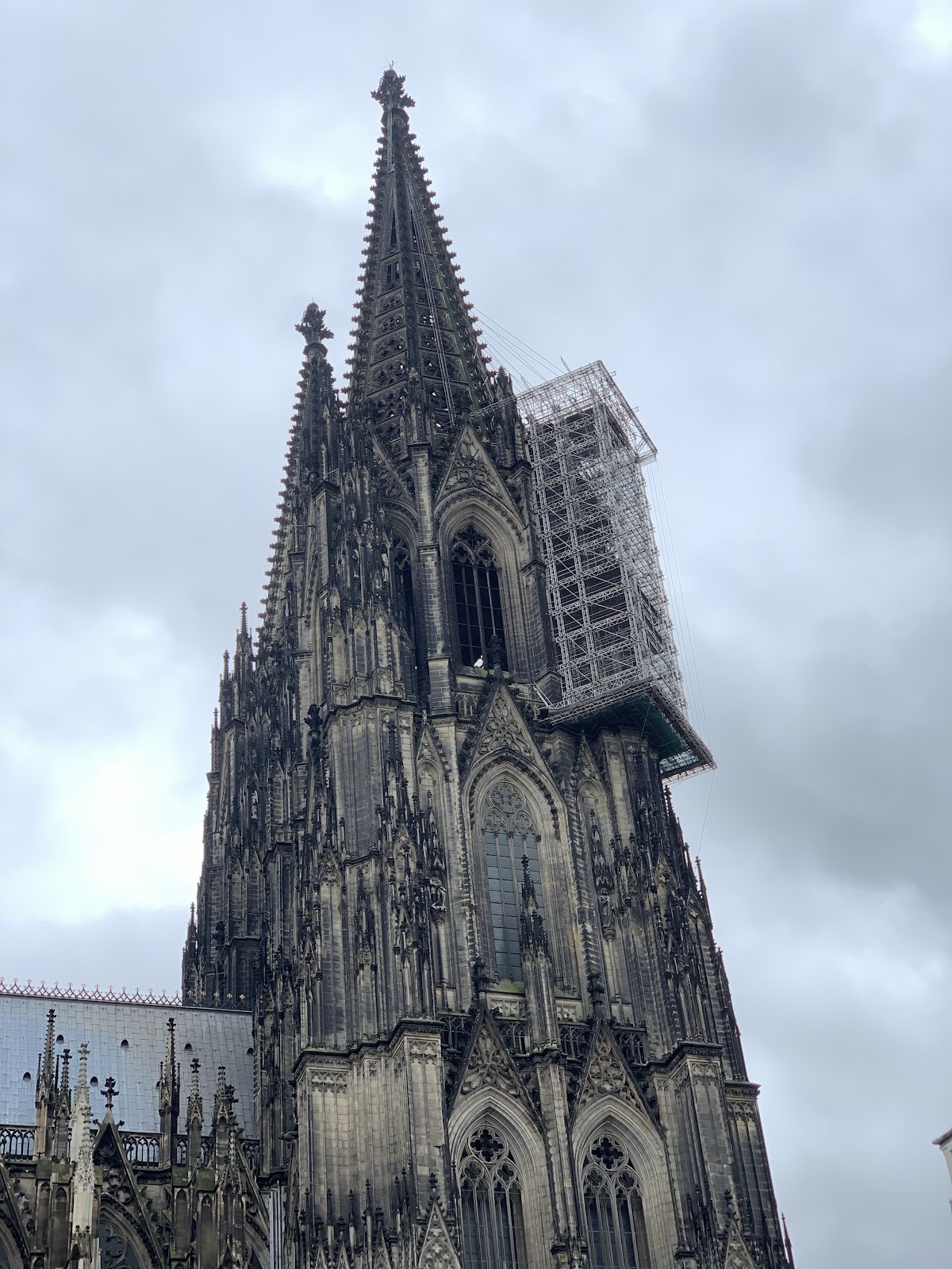 Anuga — Koelnmesse — photo 5