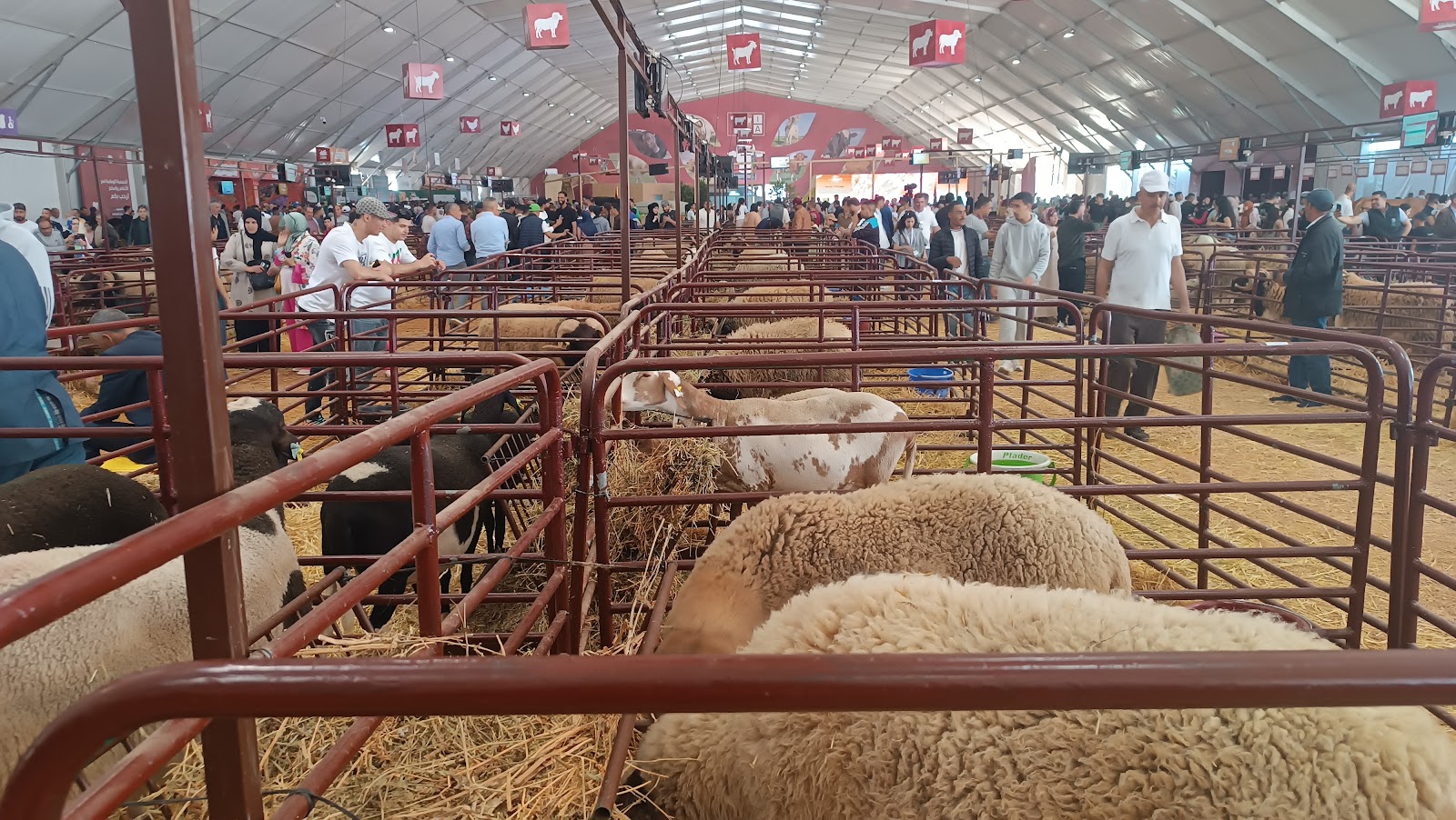 SIAM — Salon International de l'Agriculture au Maroc — Meknes