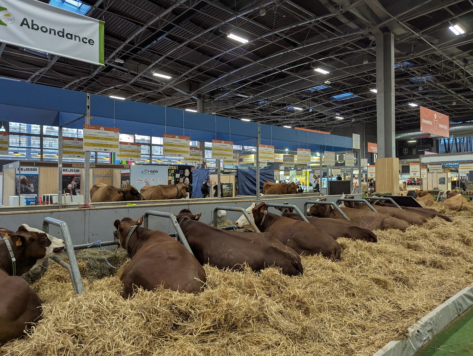 INTERMAT — Paris Nord Villepinte Exhibition Centre — photo 4