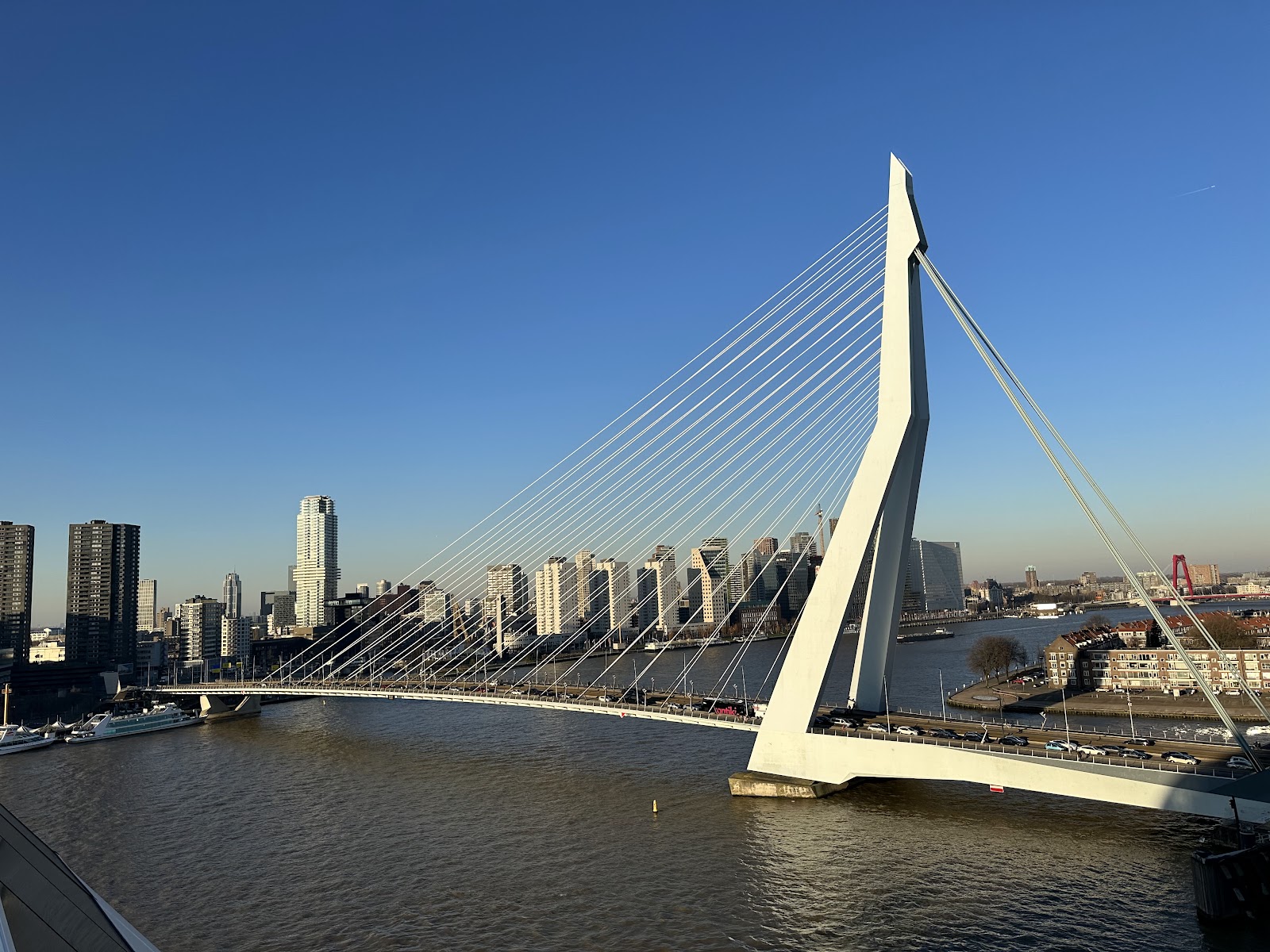 Breakbulk Europe — Rotterdam Ahoy — photo 2