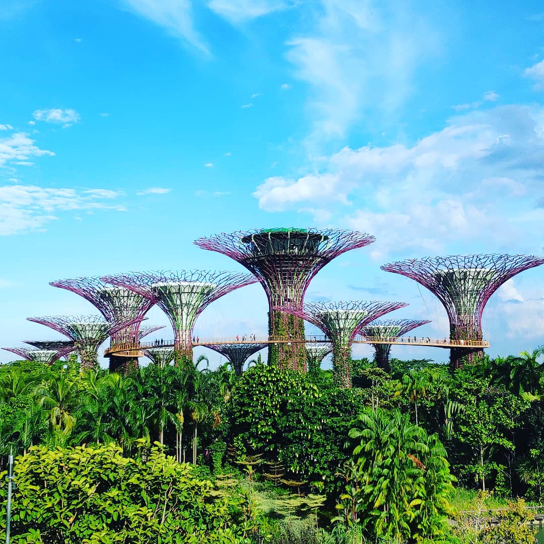 TOKEN2049 Singapore — Marina Bay Sands Expo & Convention Centre — photo 5