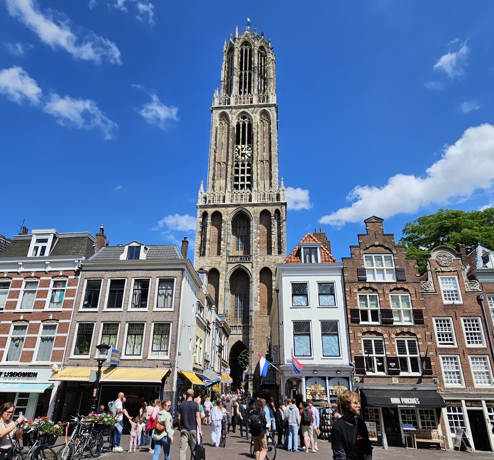 VIV Europe, Jaarbeurs Utrecht — photo 2